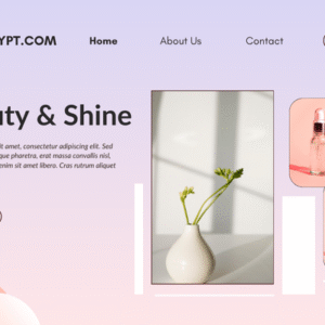 شركات تصميم مواقع الكترونية